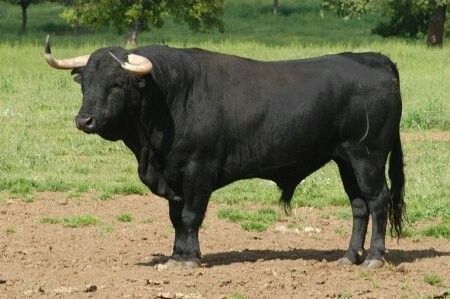 bosshogg8 OnlyFans profile picture