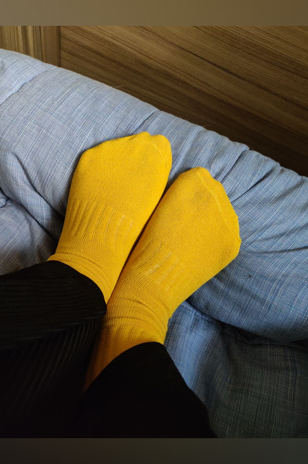 lexyganja OnlyFans profile picture