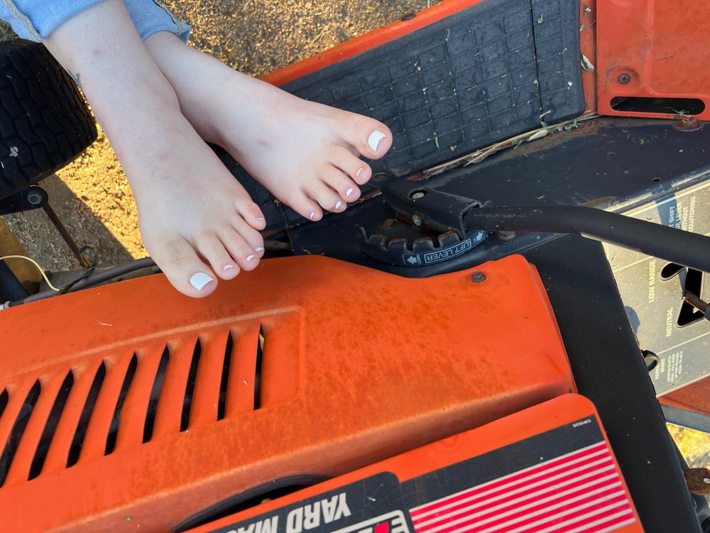 lluxyfeet OnlyFans profile picture