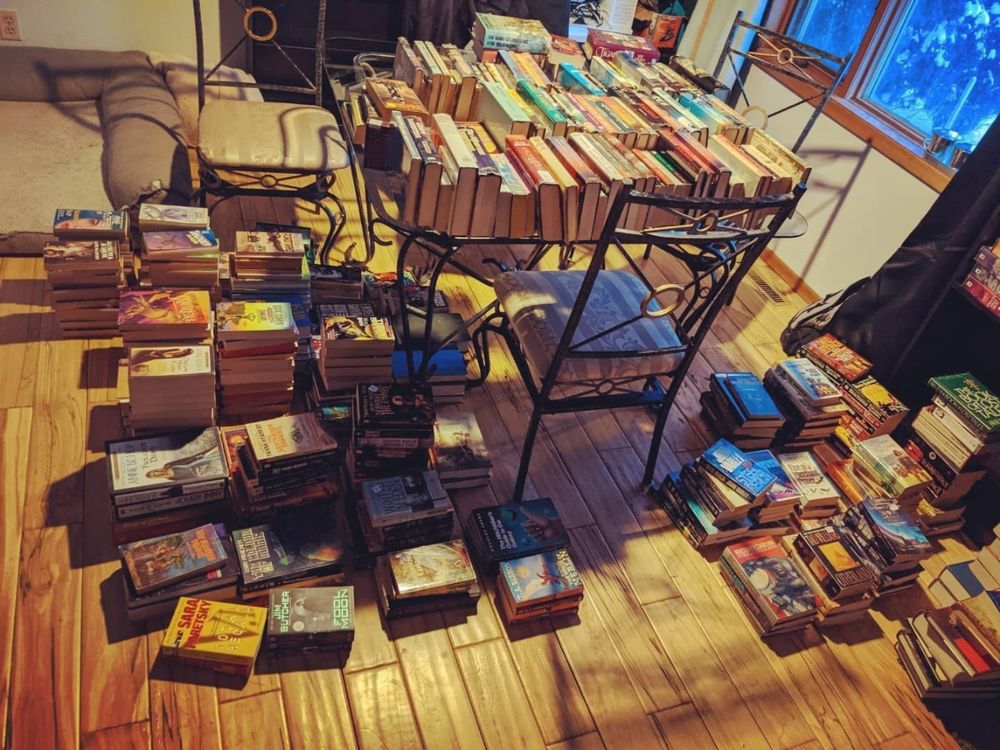 bibliophile.babe OnlyFans profile picture