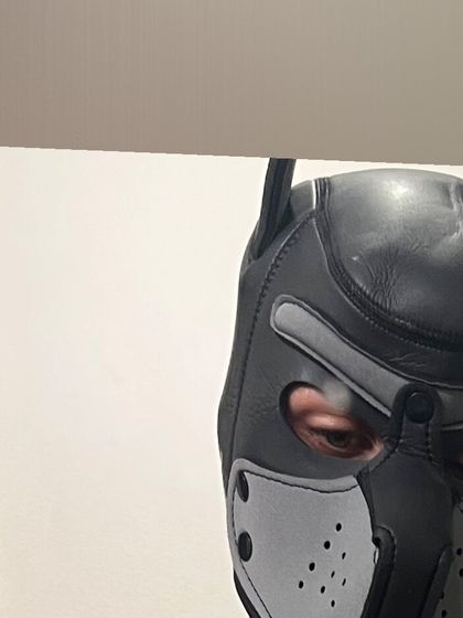 pupmurse OnlyFans picture