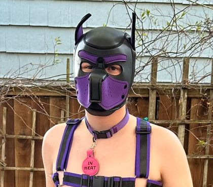 pup_mellori OnlyFans picture