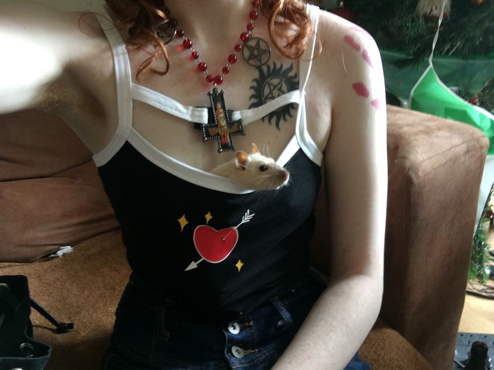 transmac OnlyFans profile picture