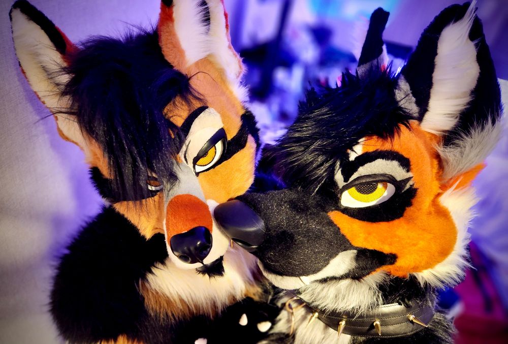 naughtywoofs OnlyFans profile picture