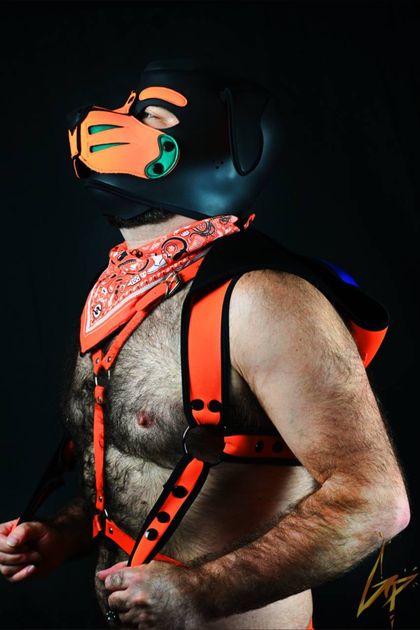 furpuporion OnlyFans picture