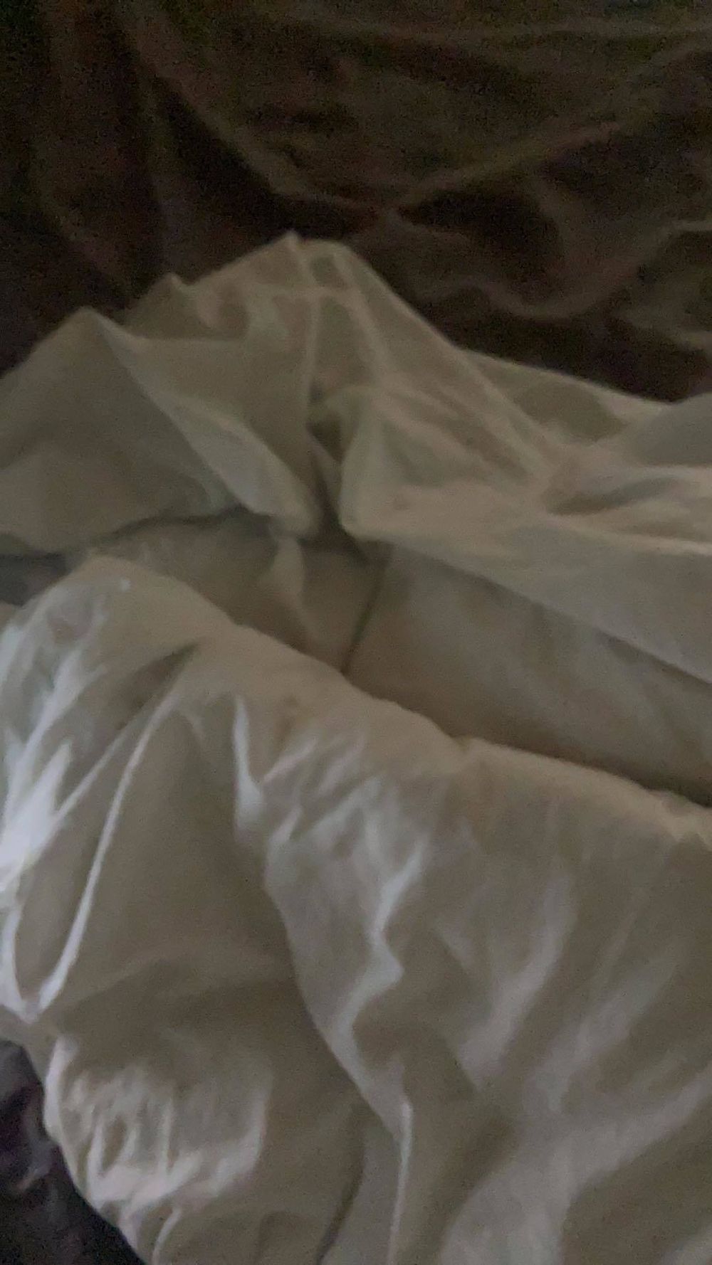 sonofaphrodity OnlyFans profile picture