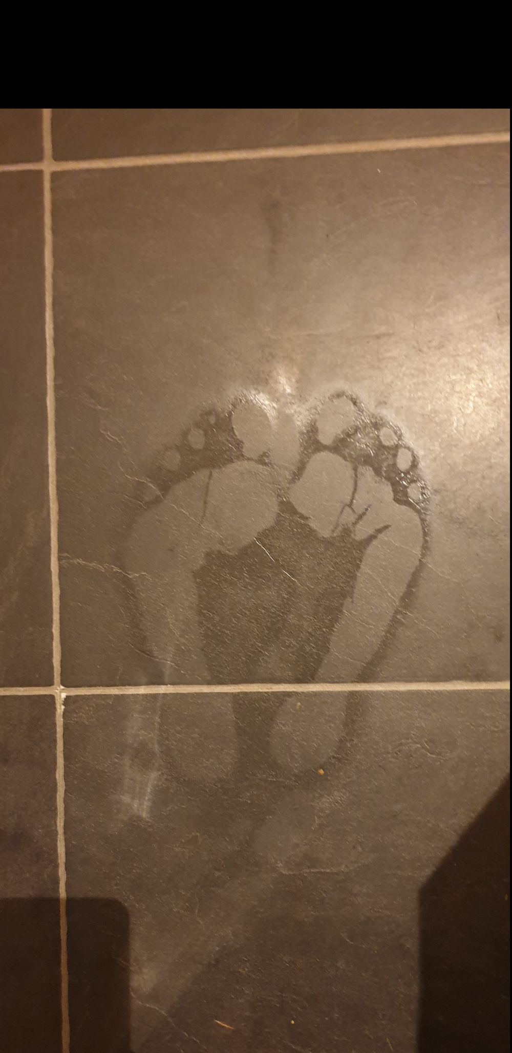 feetfriends2022 OnlyFans profile picture