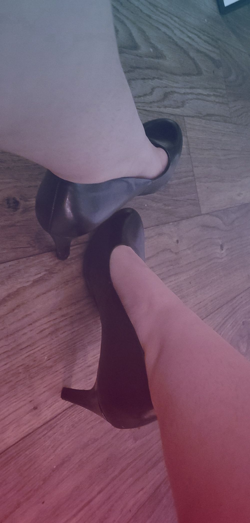 persephone0123 OnlyFans profile picture