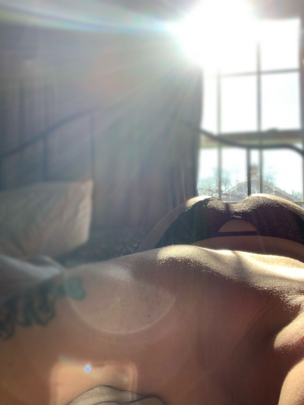 annaonmars9 OnlyFans profile picture