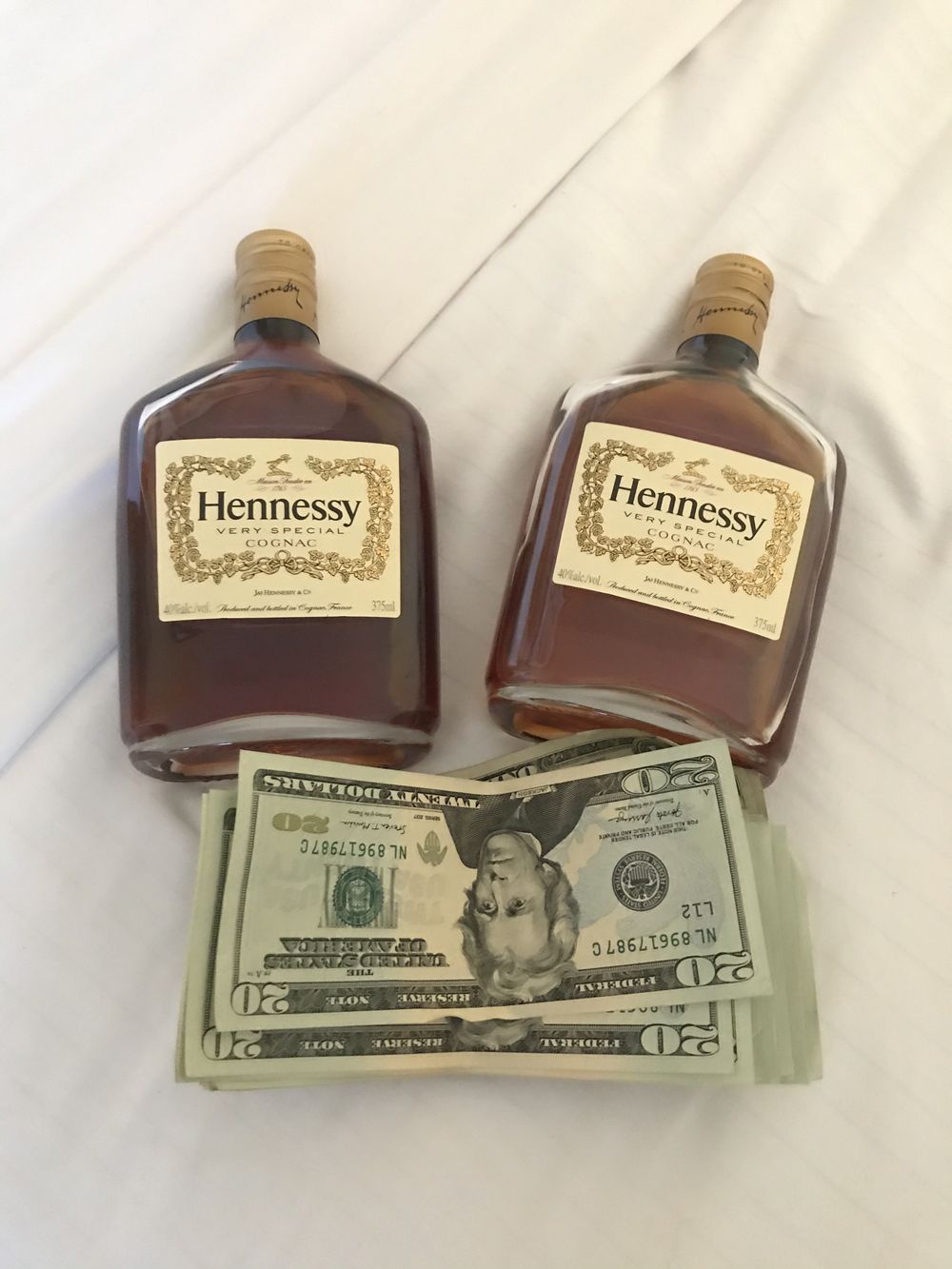 nineinchflock OnlyFans profile picture