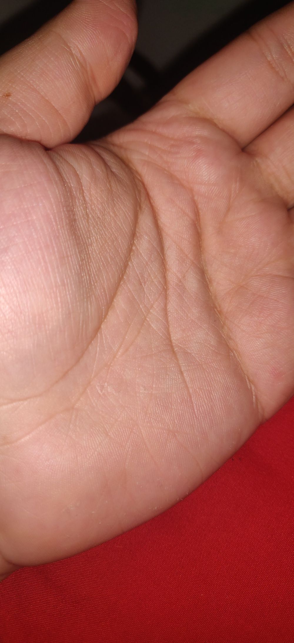 littlejhony OnlyFans profile picture