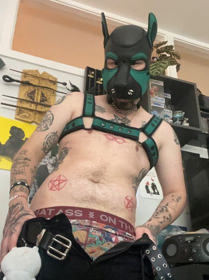 raythepup OnlyFans picture