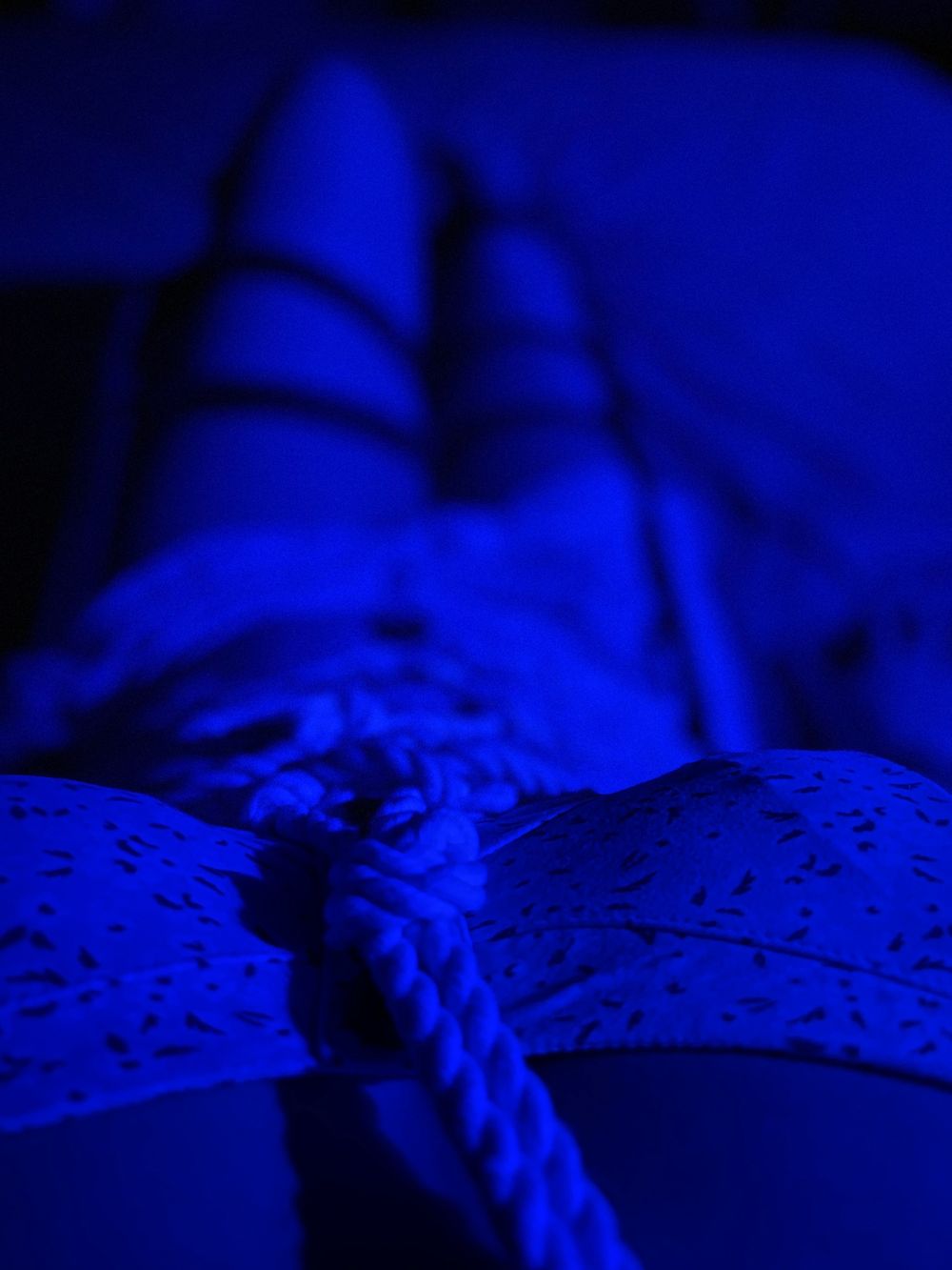 sweetness14 OnlyFans profile picture