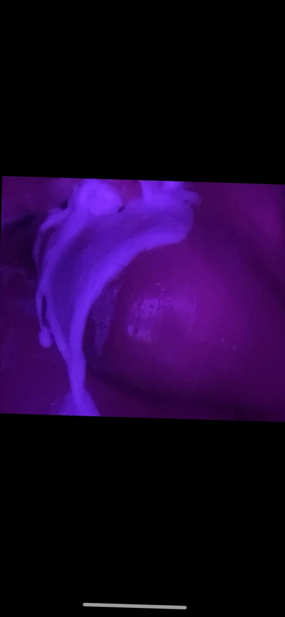 loveskyyy OnlyFans profile picture