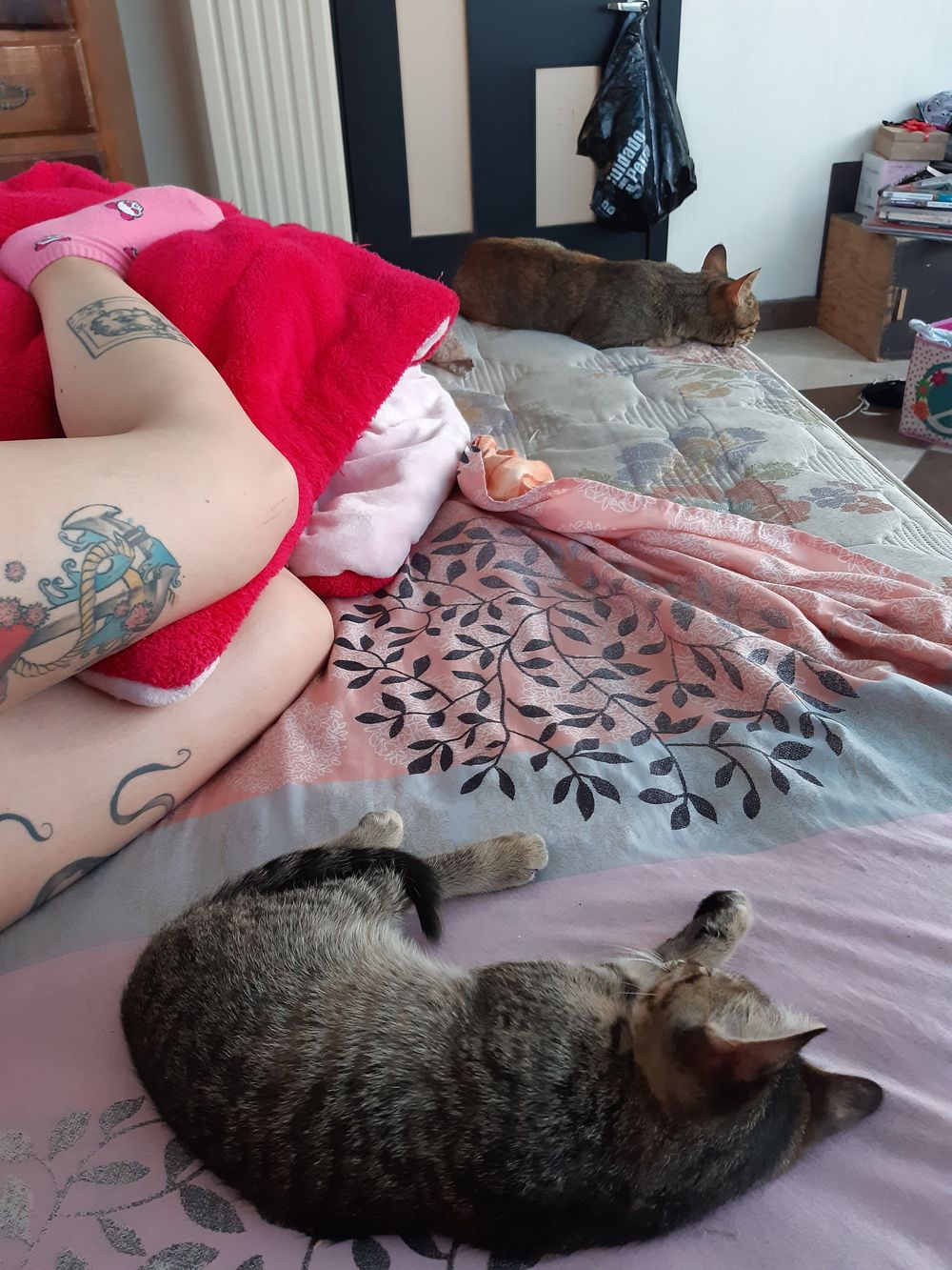 cheetachan96 OnlyFans profile picture