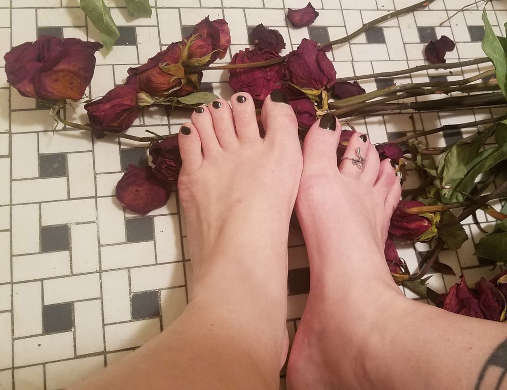 annedearddd OnlyFans profile picture