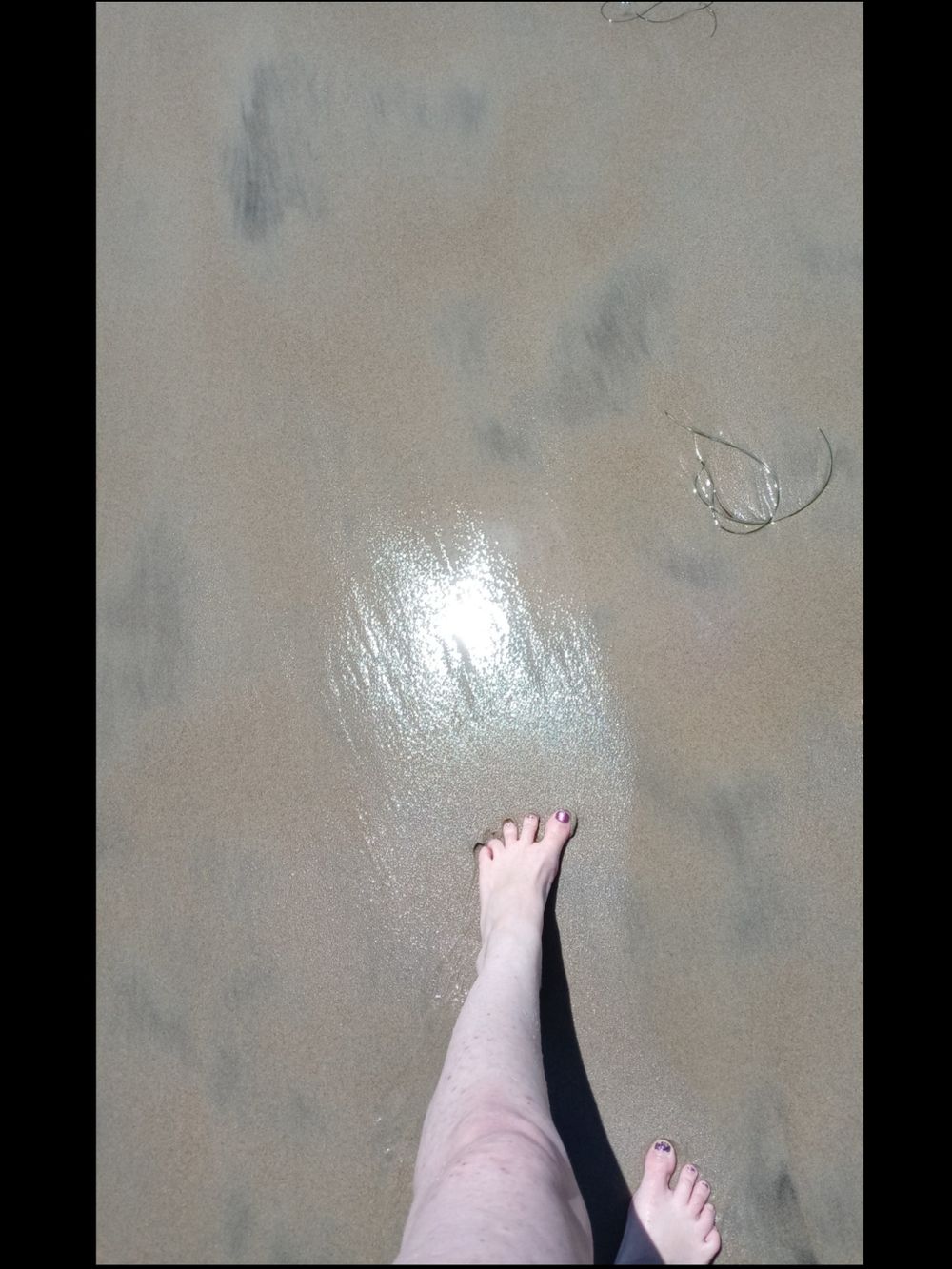 suetoes OnlyFans profile picture