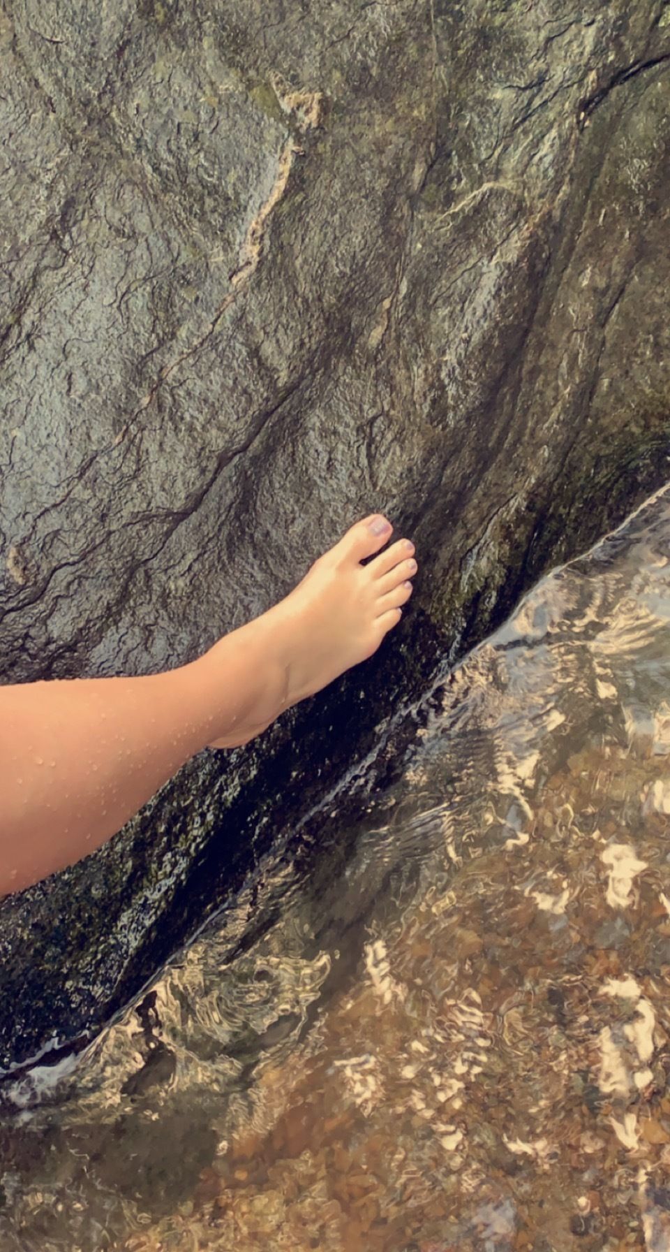 elegantmesss OnlyFans profile picture