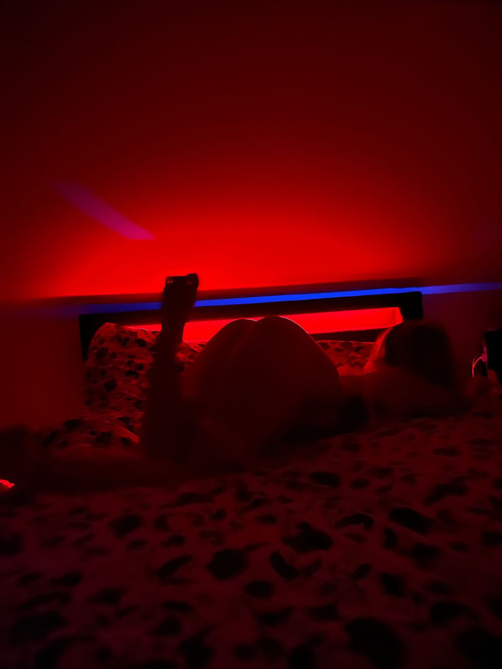 rebeliouscat OnlyFans profile picture