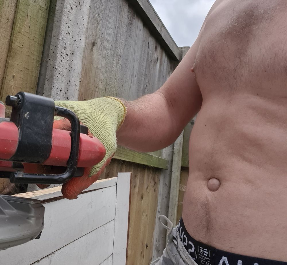 bellybuttonsteve OnlyFans profile picture