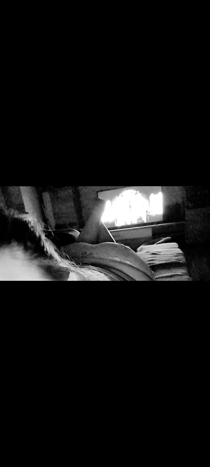 u281869628 OnlyFans profile picture