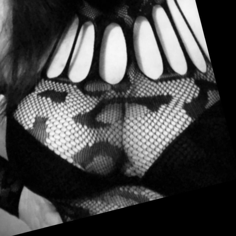 panther.ty OnlyFans profile picture