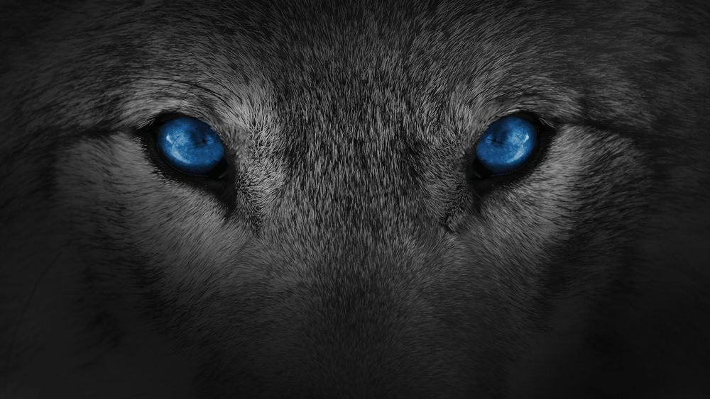 fanfcukuk OnlyFans profile picture