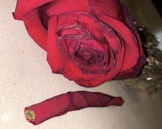 theresaidell OnlyFans profile picture