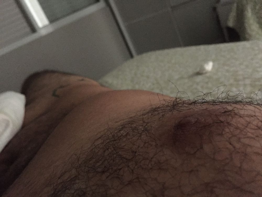 hbearbr OnlyFans profile picture