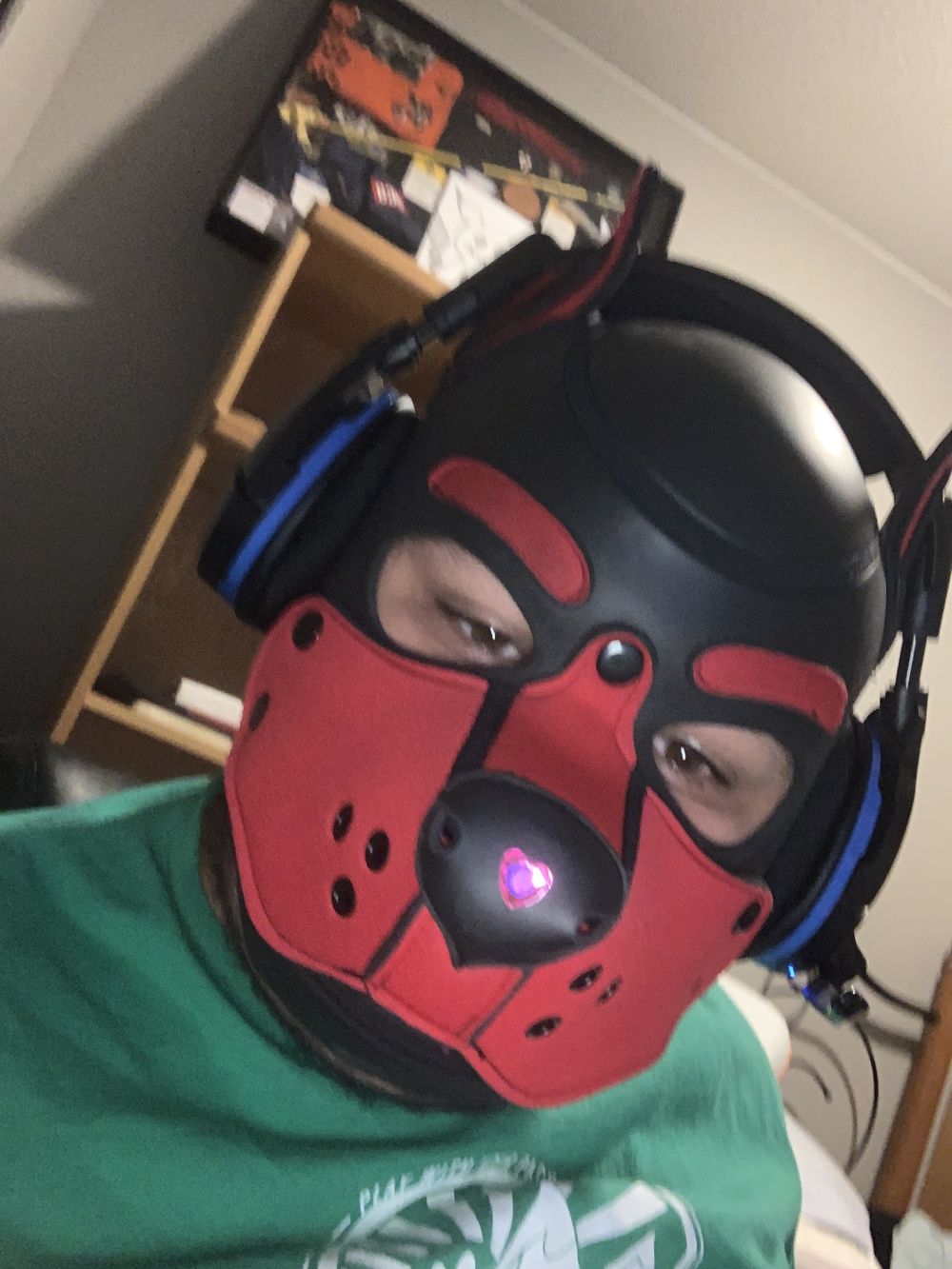 lokipuploki OnlyFans profile picture