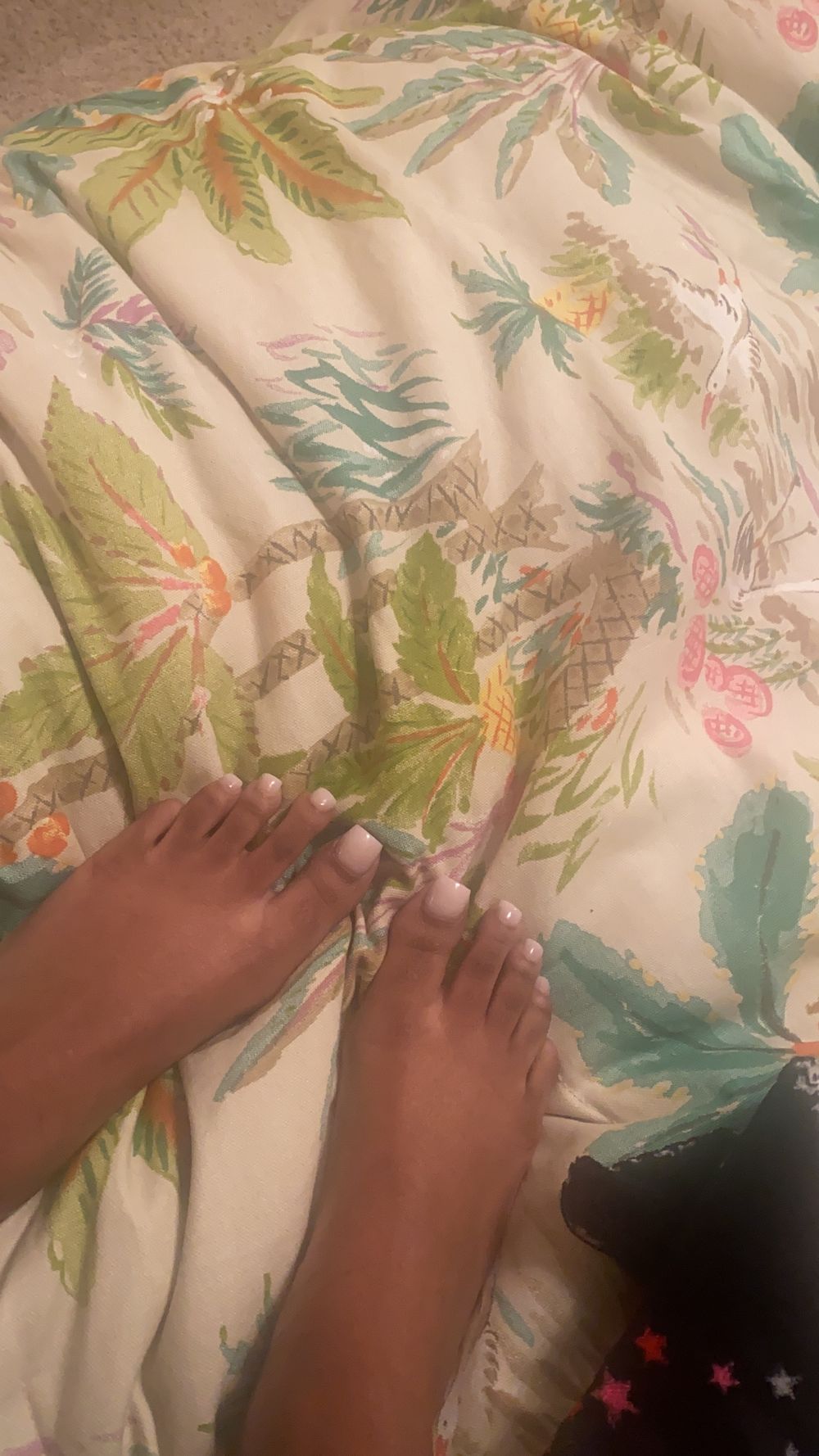 sheabutterbabiee OnlyFans profile picture