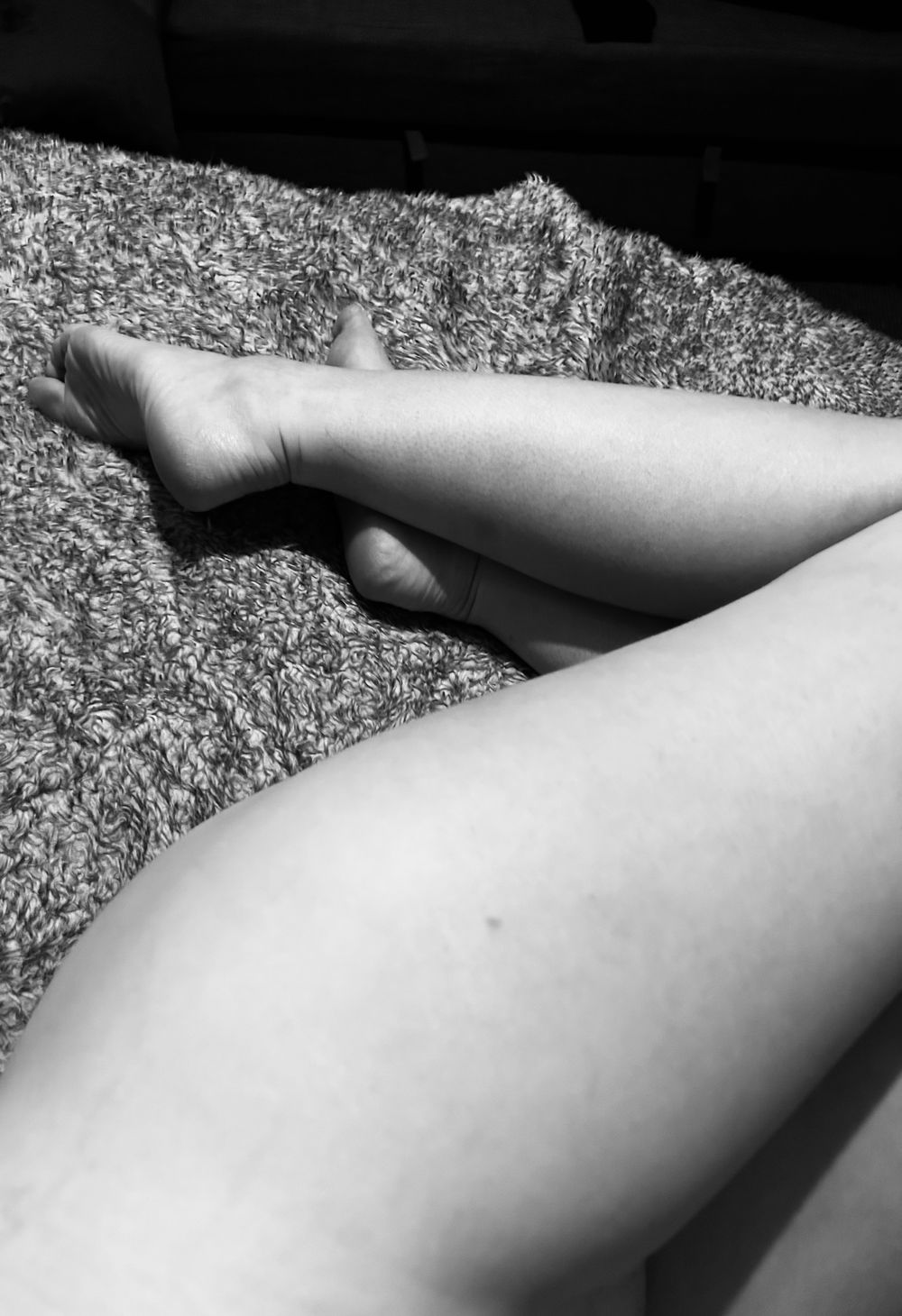 missequestrianxoxo OnlyFans profile picture