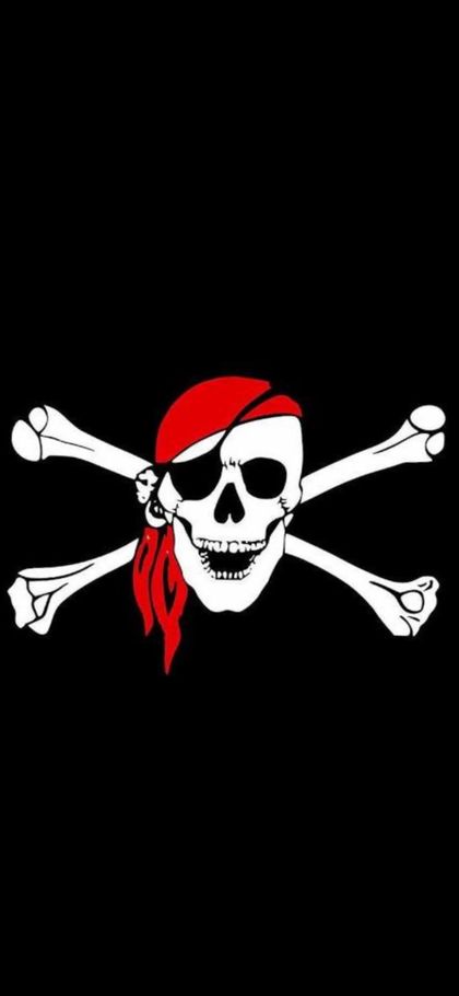 p00npirate OnlyFans picture