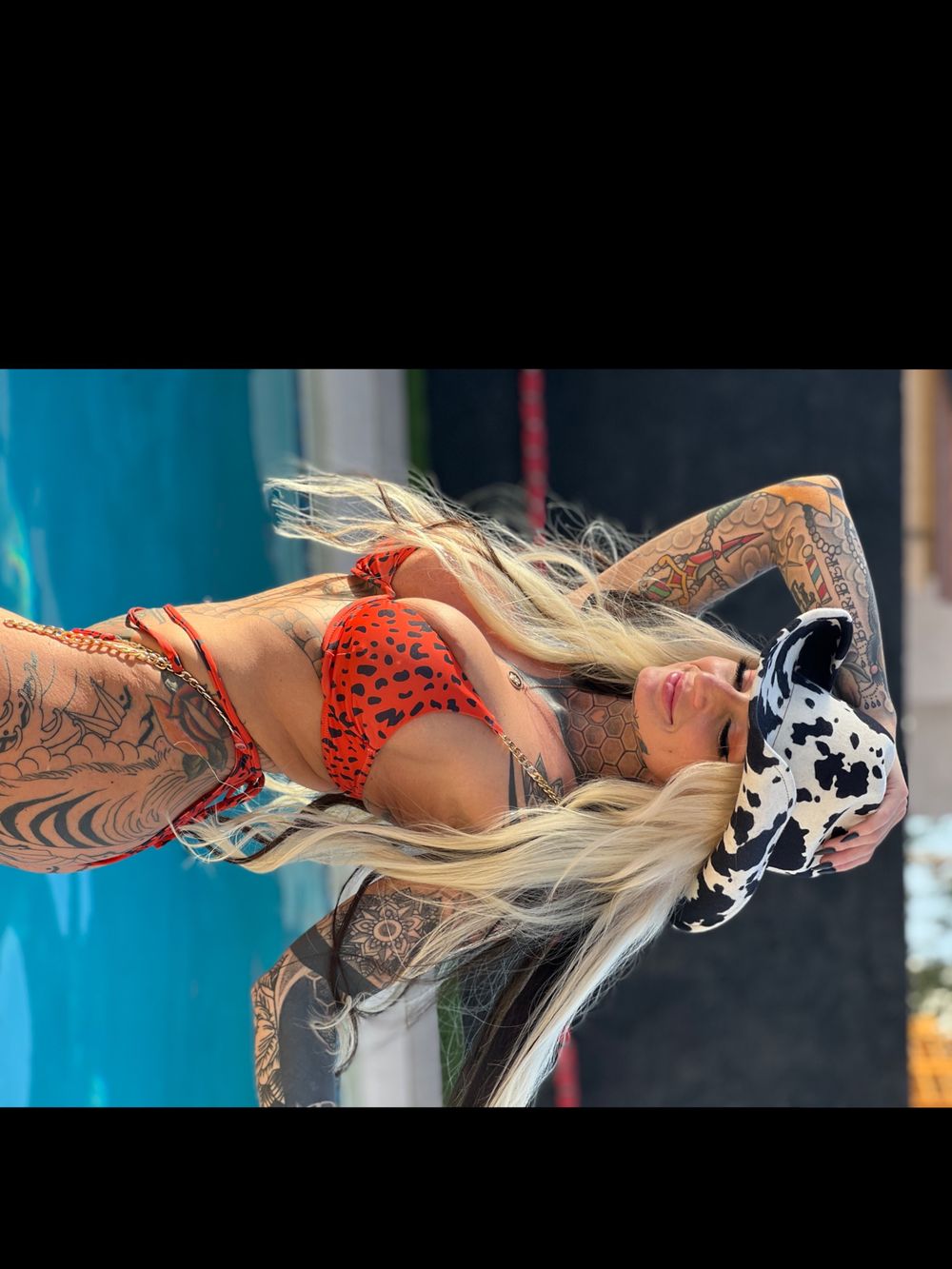 carissadidit OnlyFans profile picture