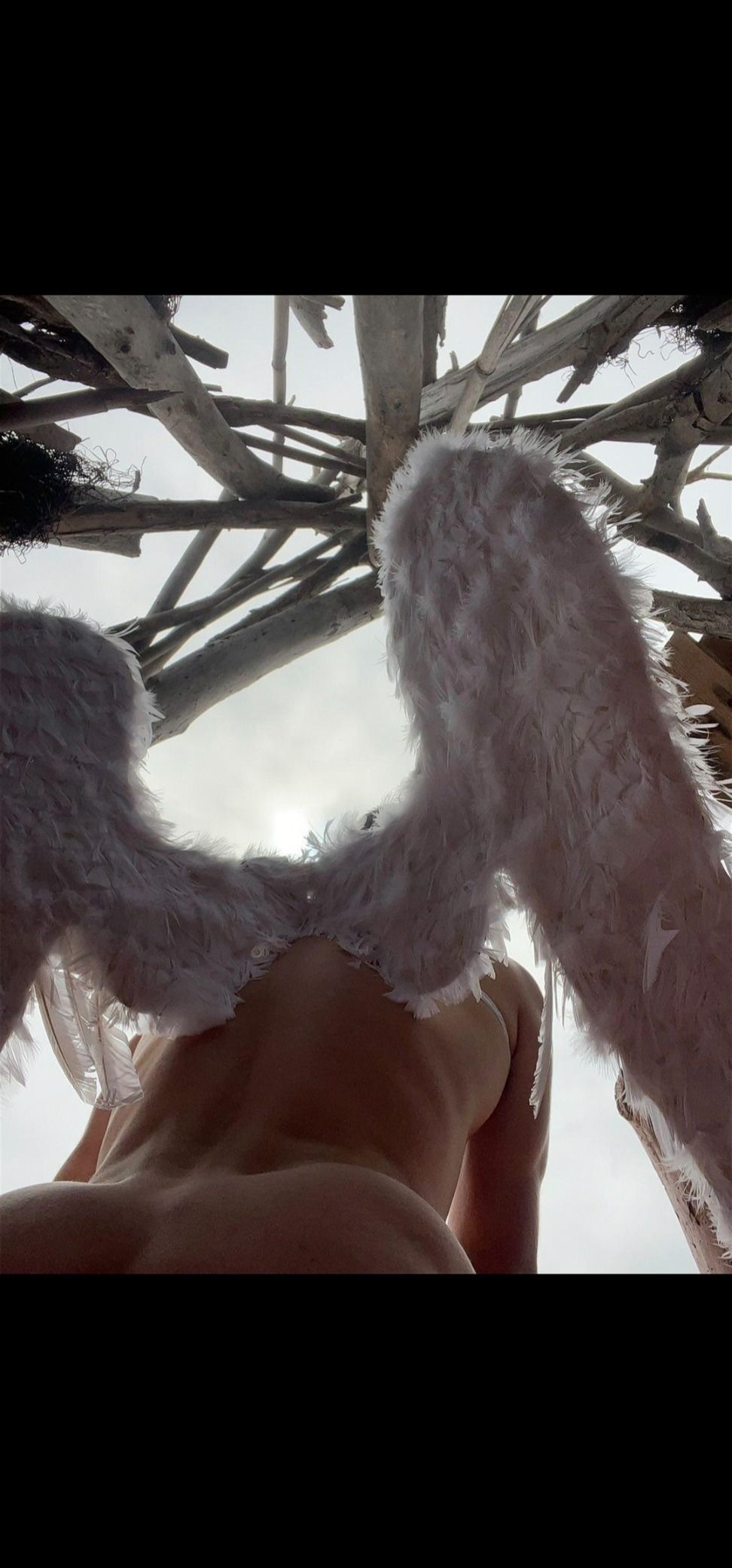 angellebuvera OnlyFans profile picture