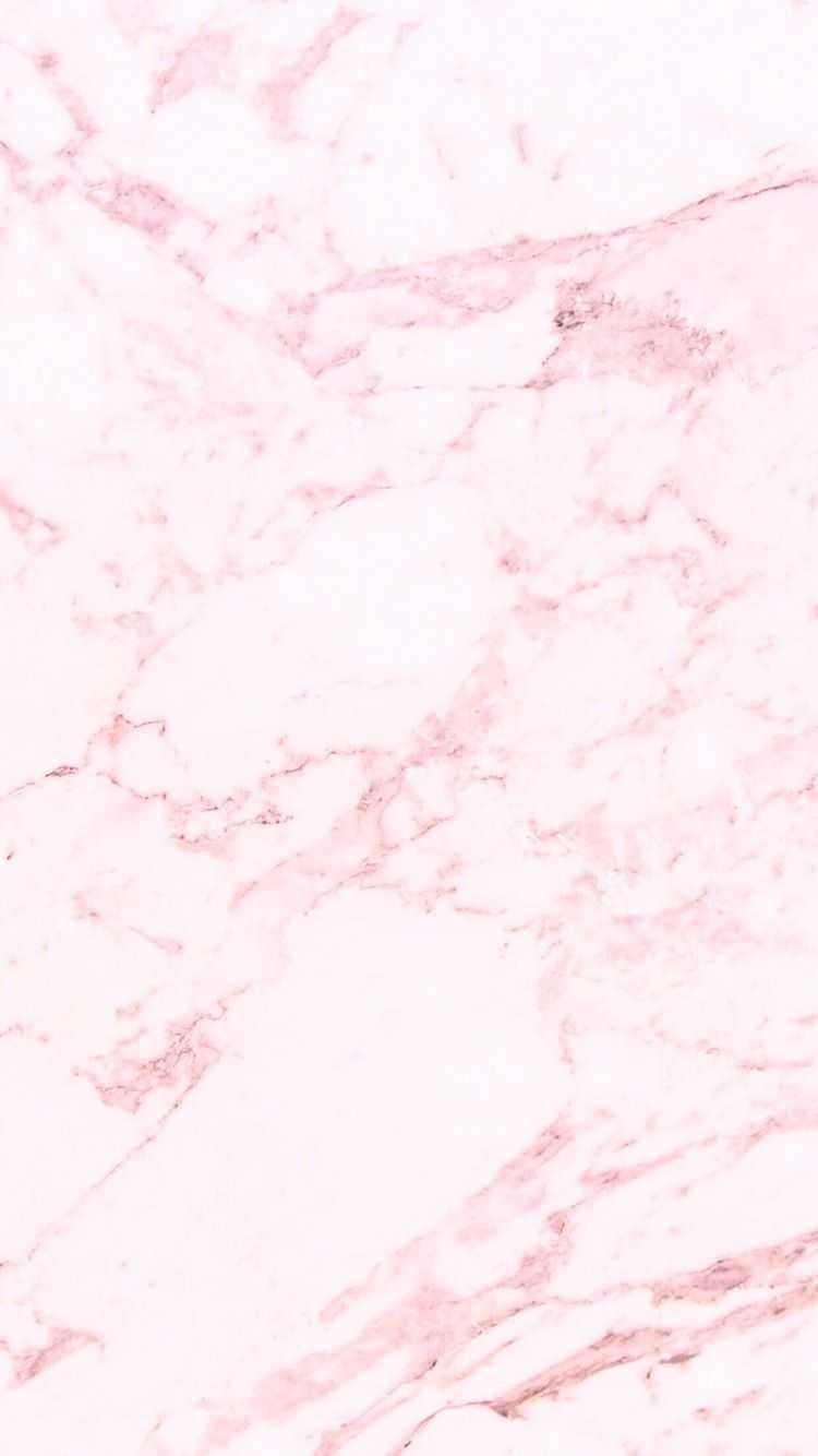prtypggs OnlyFans profile picture