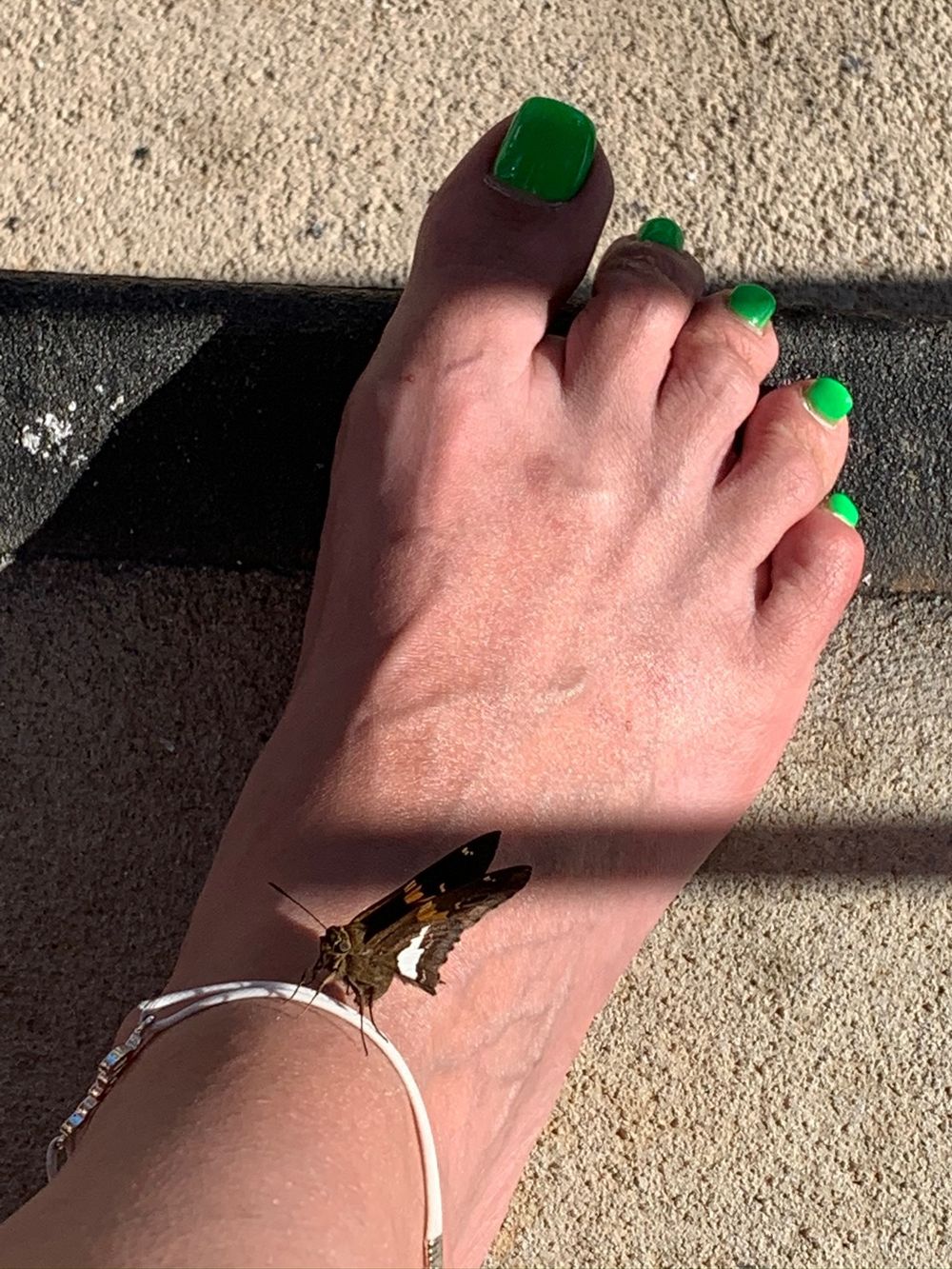 prettyfeetsosweet OnlyFans profile picture