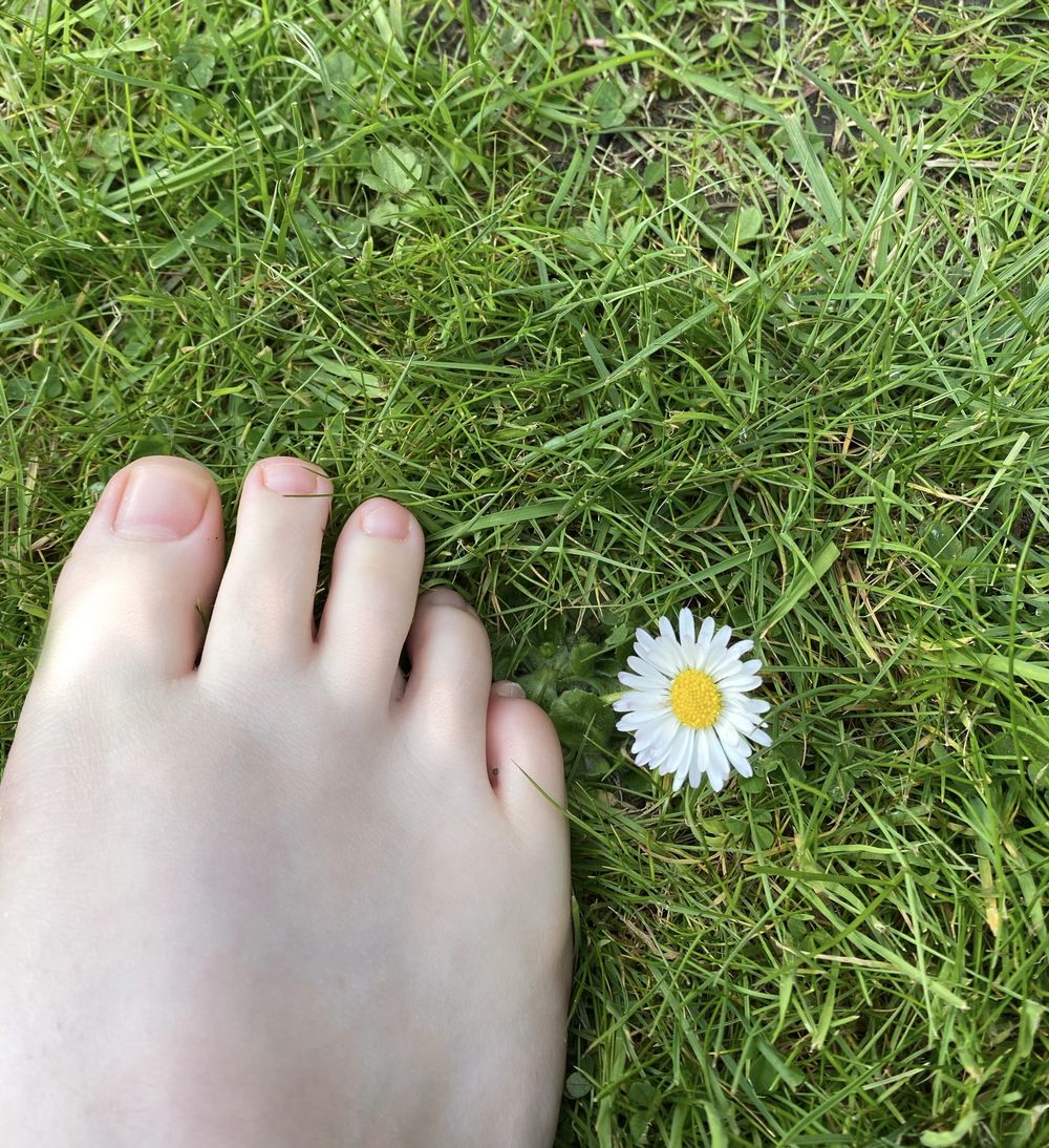 lil-clover OnlyFans profile picture