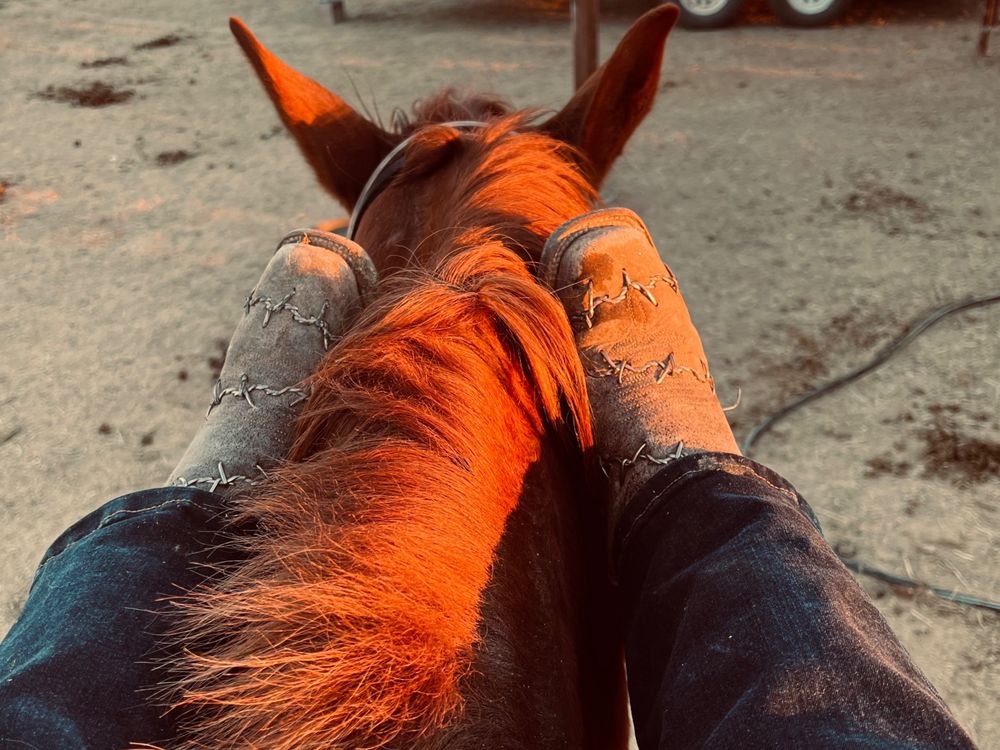 cow_girl_by_day OnlyFans profile picture