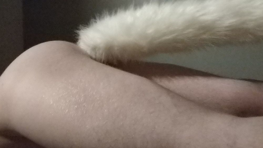 smallsubforfun OnlyFans profile picture