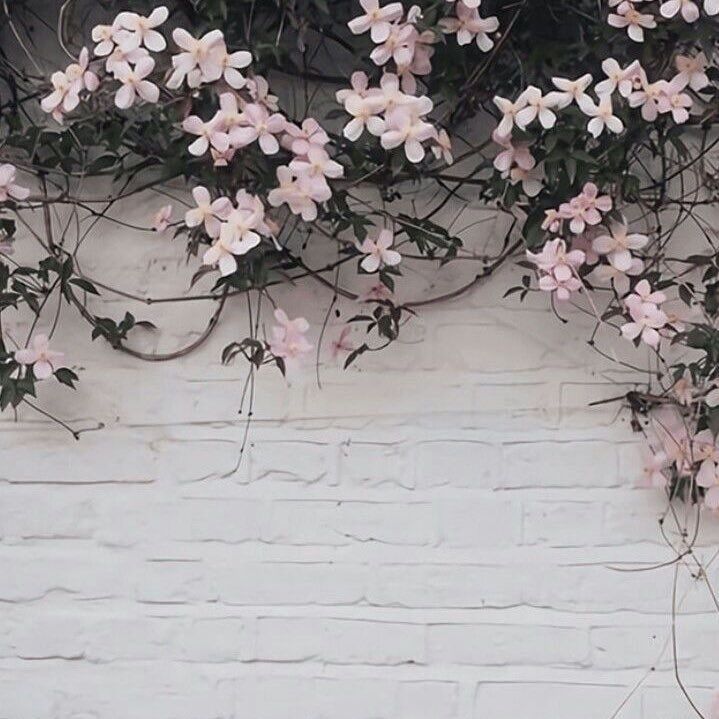 fckinpeachy OnlyFans profile picture
