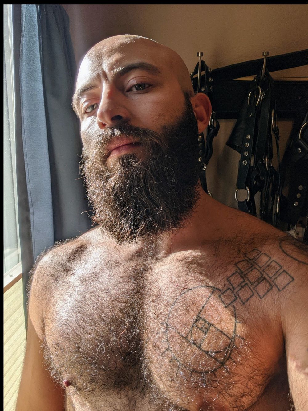triplextransman OnlyFans profile picture