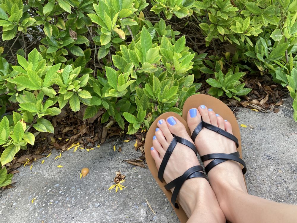 sophie673 OnlyFans profile picture