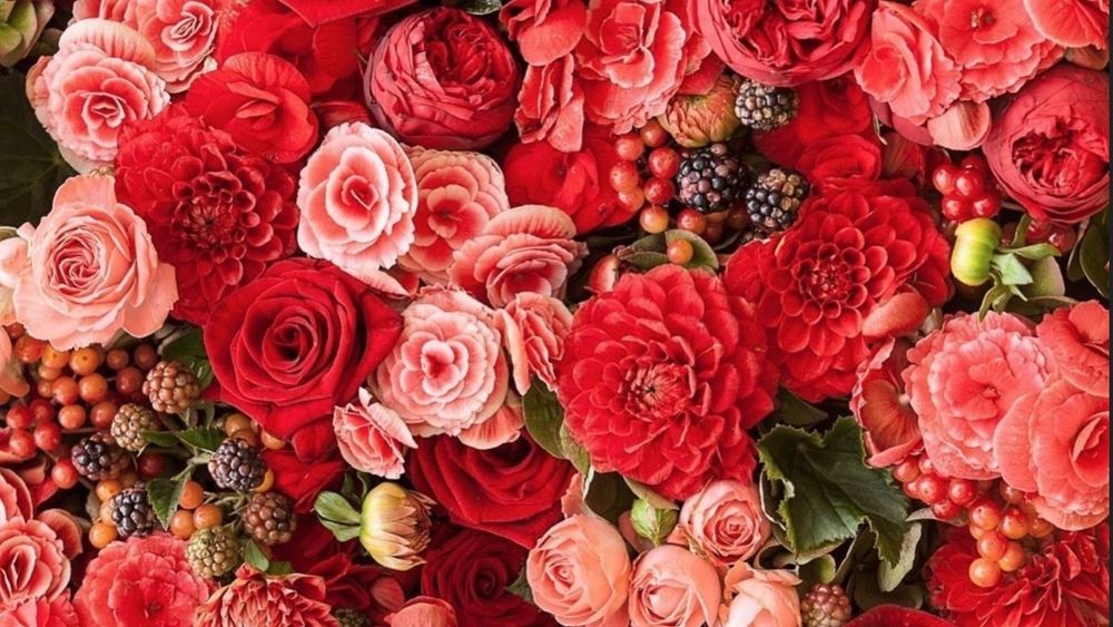 theangellovely OnlyFans profile picture
