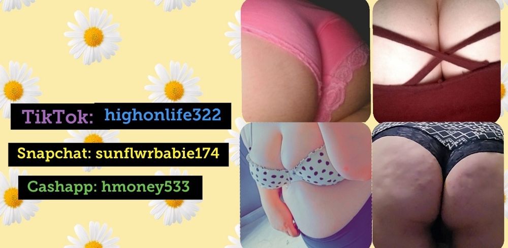 sunflowerbabie174 OnlyFans profile picture