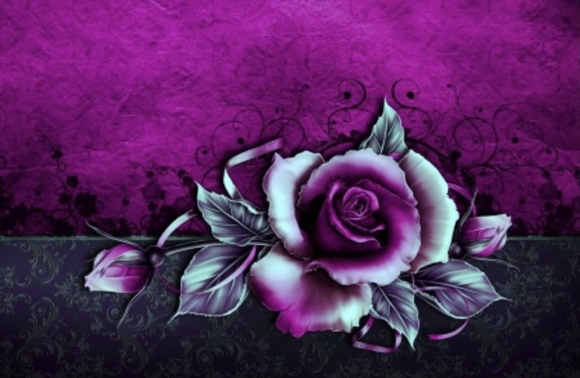 summer-rose2uxoxo OnlyFans profile picture