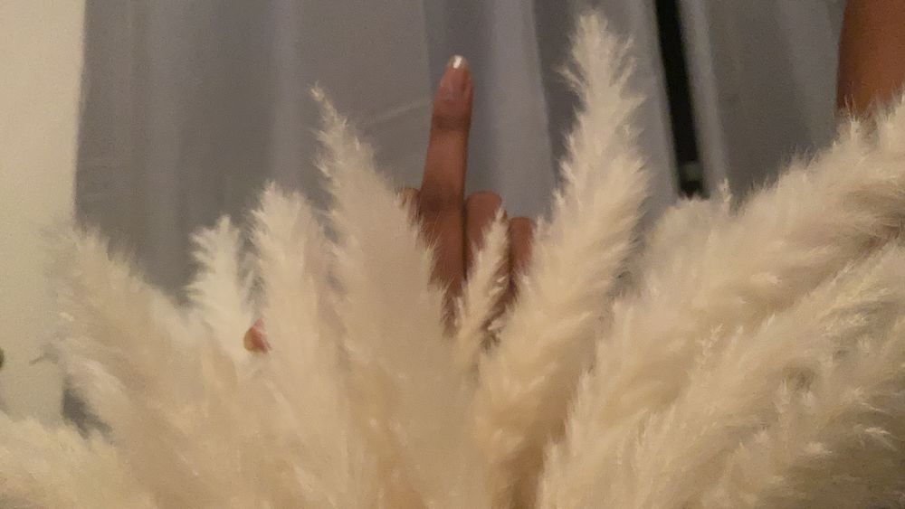 misslatina7774 OnlyFans profile picture