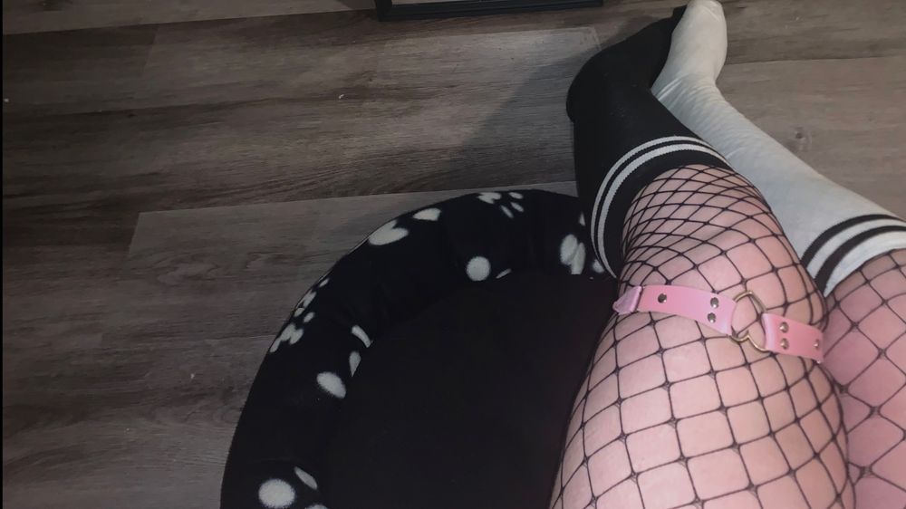 bellaleelynn OnlyFans profile picture