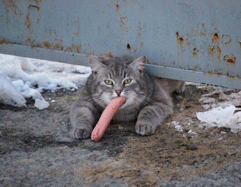 annon_wonders OnlyFans profile picture