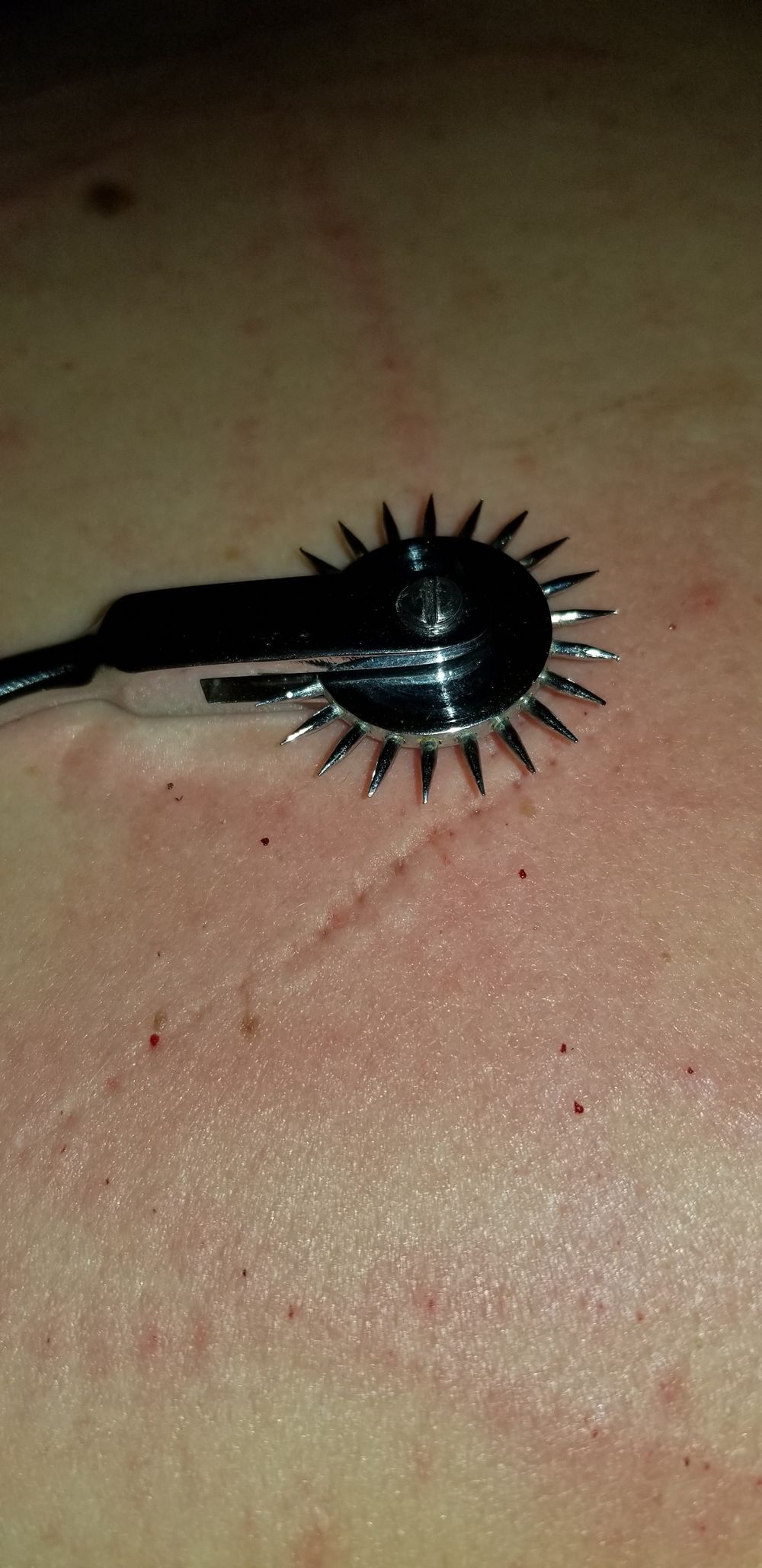 knottykinkguy OnlyFans profile picture